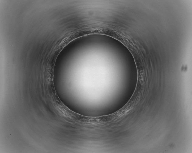 X0000090860916200708101216