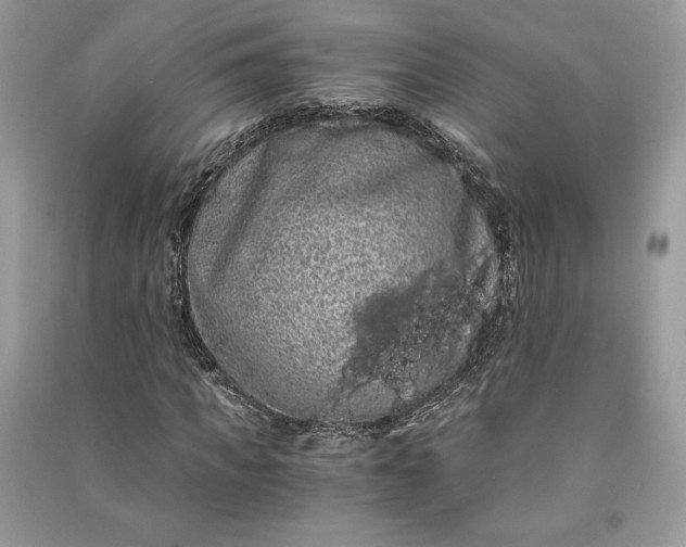 X0000090860917200708101216