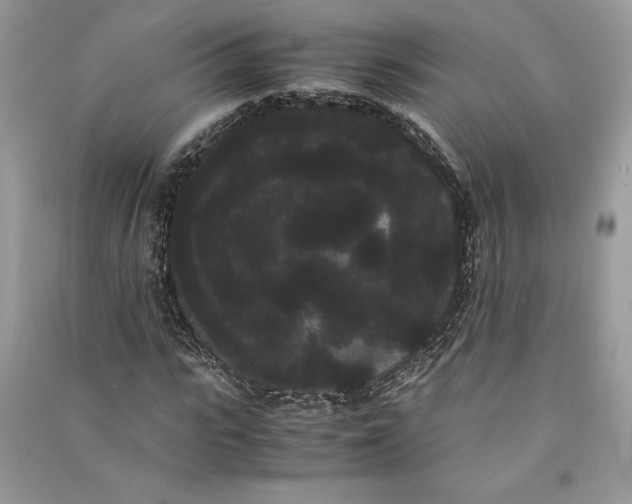 X0000090860919200708101216