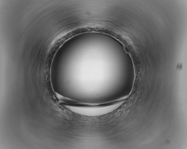 X0000090860920200708101216