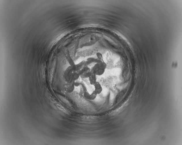 X0000090860921200708101216