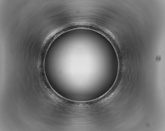 X0000090860922200708101216