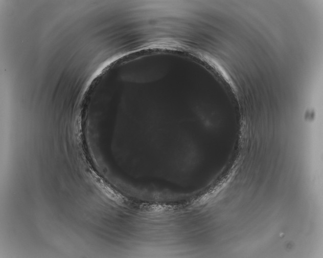 X0000090860923200708101216