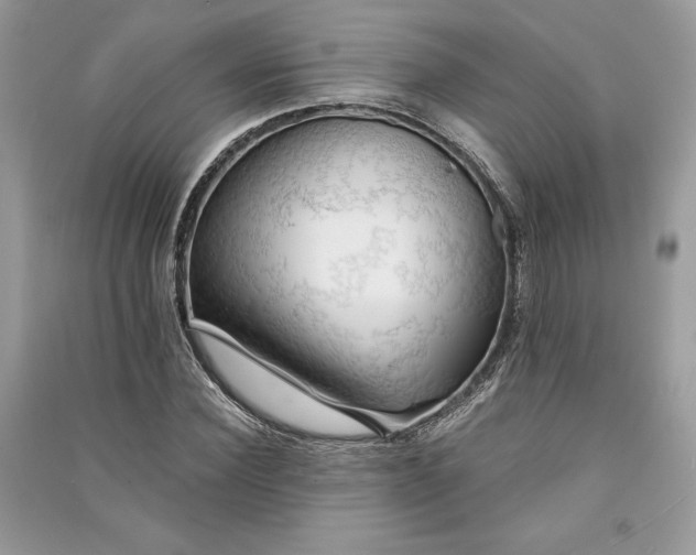 X0000090860924200708101216