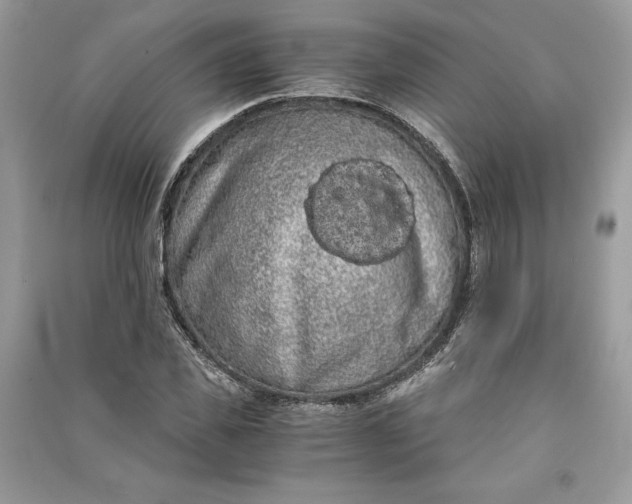 X0000090860925200708101216