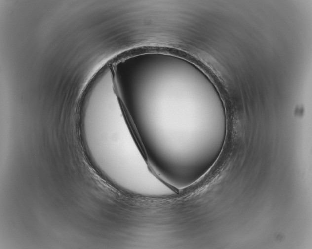 X0000090860926200708101216