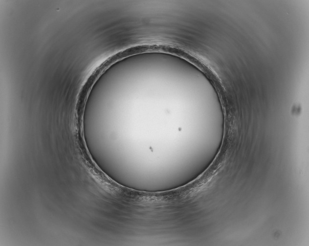 X0000090860927200708101216