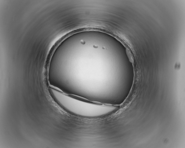 X0000090860928200708101216