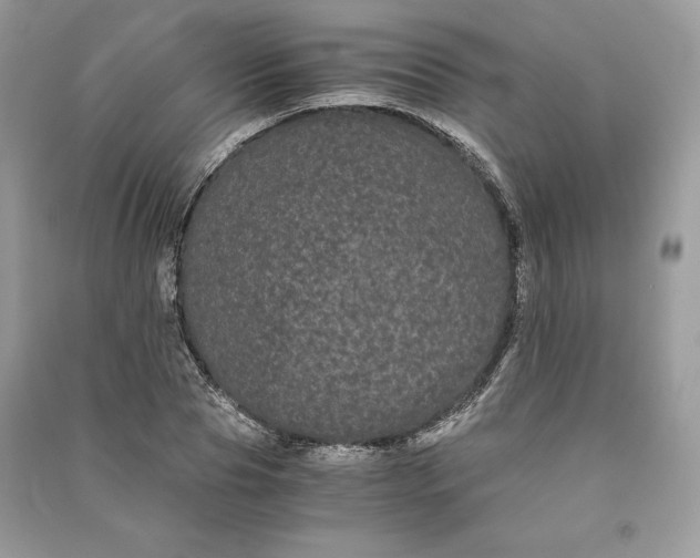 X0000090860929200708101216