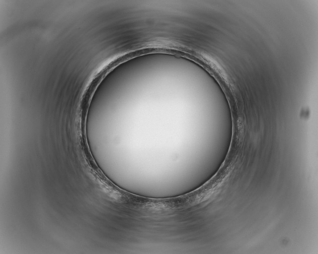 X0000090860931200708101216