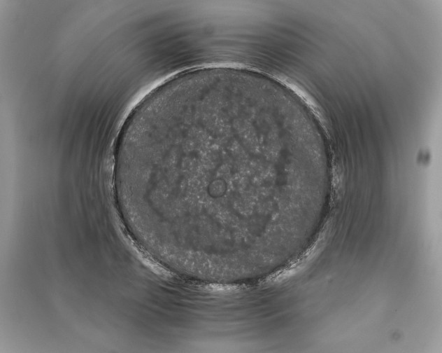 X0000090860933200708101216