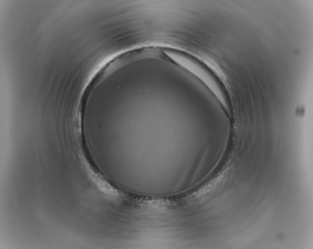 X0000090860934200708101216