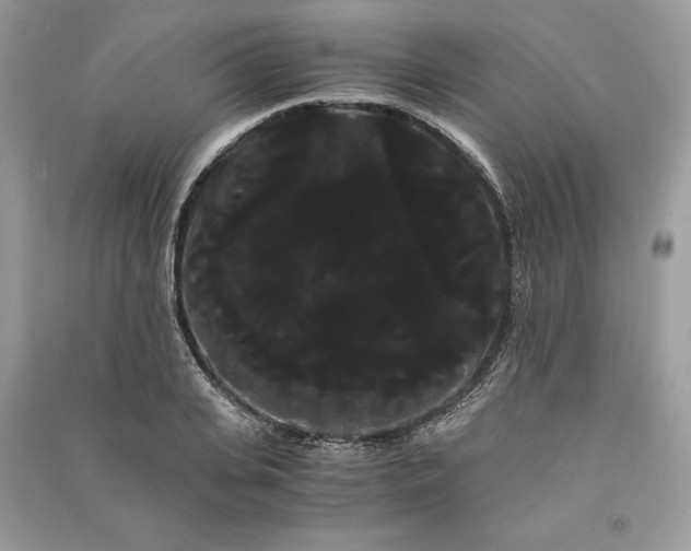 X0000090860935200708101216