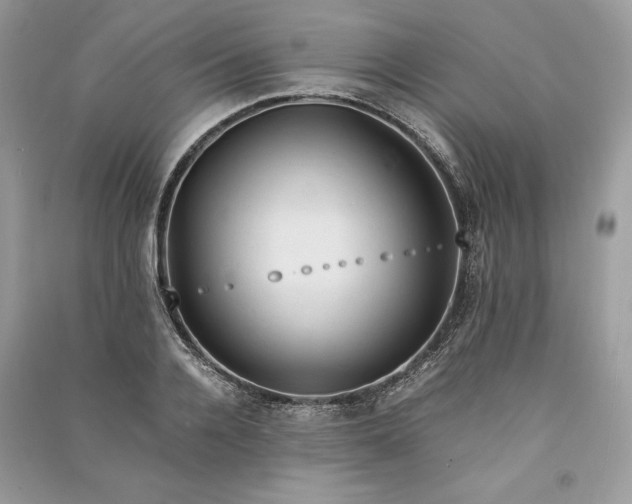 X0000090860936200708101216