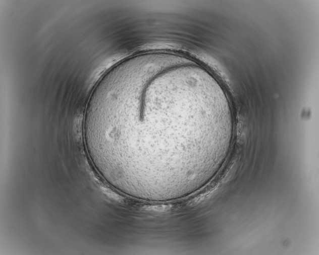 X0000090860937200708101216