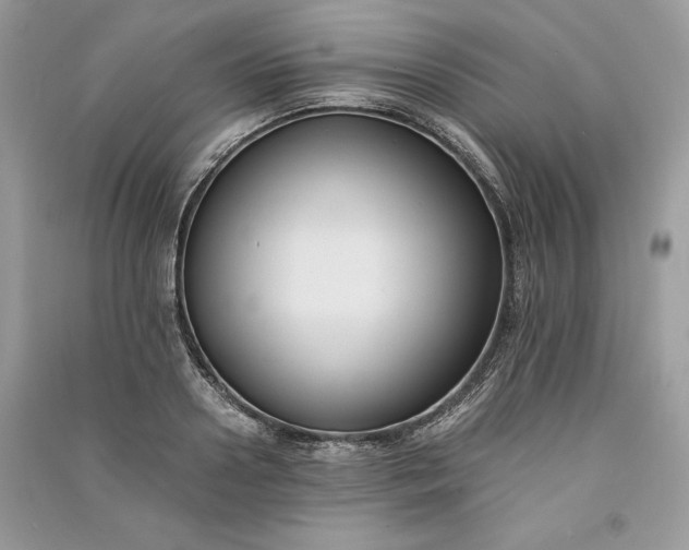 X0000090860938200708101216