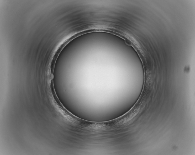 X0000090860939200708101216