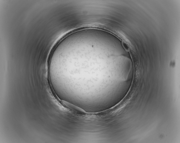 X0000090860940200708101216