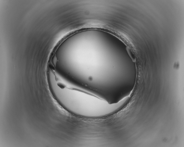 X0000090860942200708101216