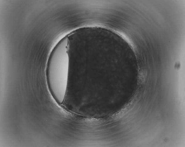 X0000090860943200708101216