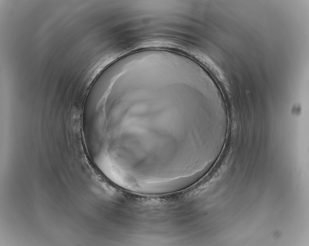 X0000090860945200708101216