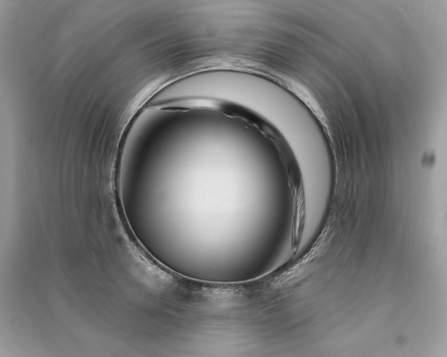 X0000090860946200708101216