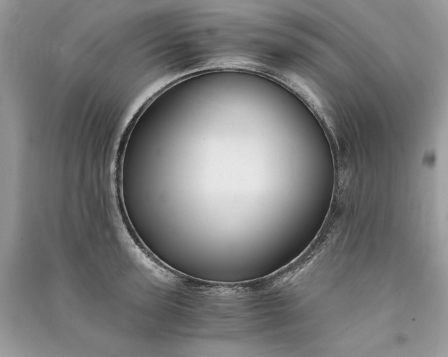 X0000090860947200708101216