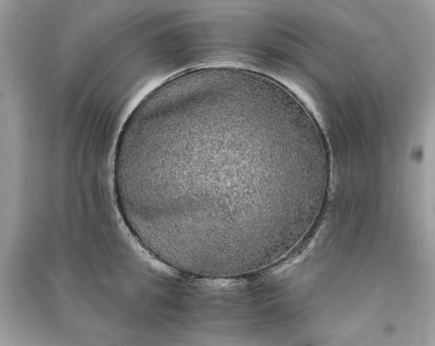 X0000090860949200708101216