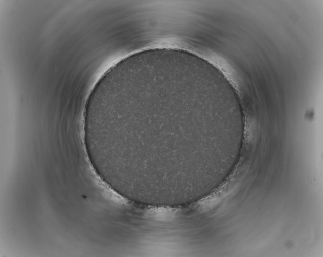 X0000090860950200708101217