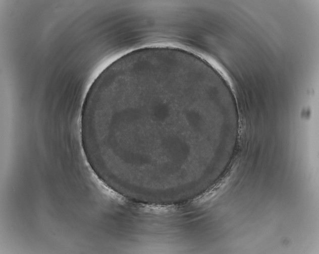 X0000090860951200708101217