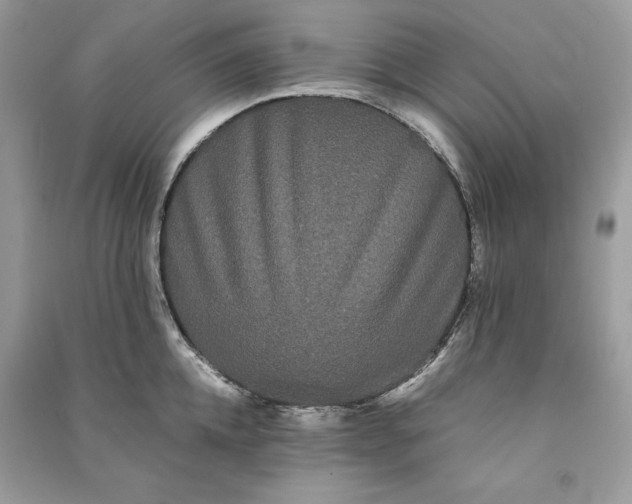 X0000090860952200708101217