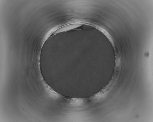 X0000090860954200708101217