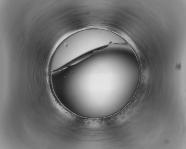 X0000090860955200708101217