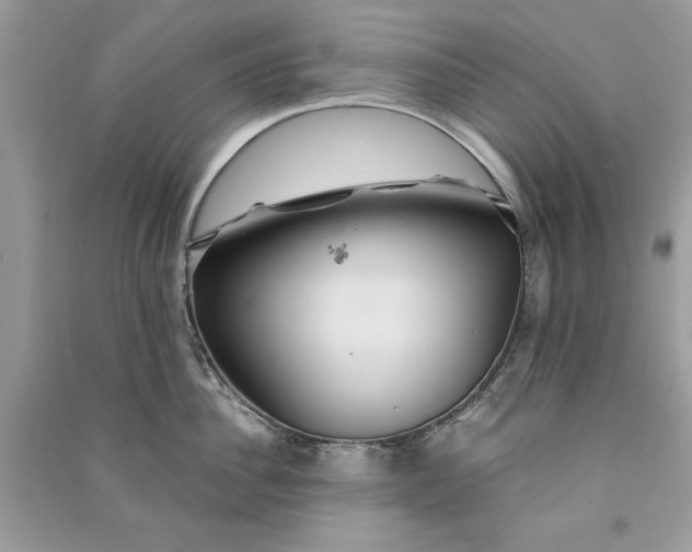 X0000090860956200708101217