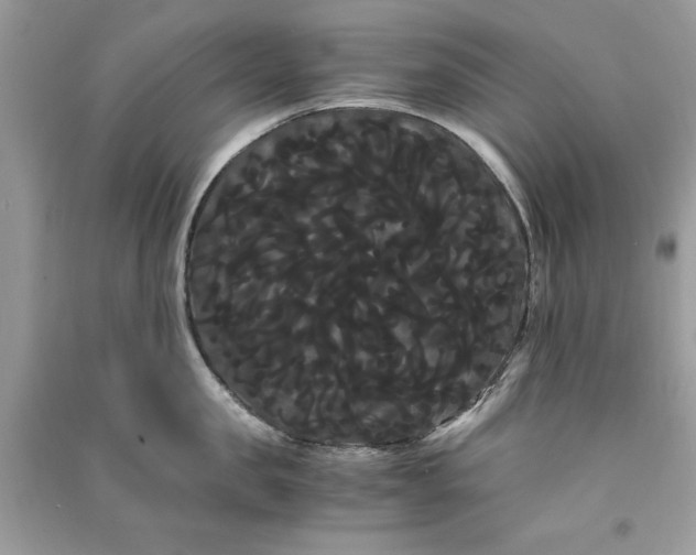 X0000090860957200708101217