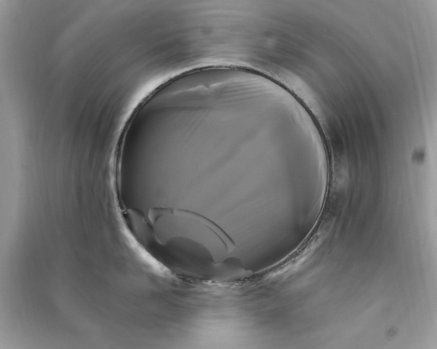 X0000090860958200708101217