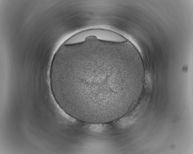 X0000090860959200708101217