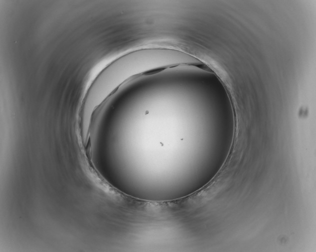 X0000090860960200708101217