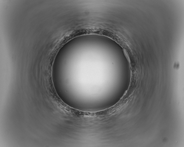 X0000090860961200708101216