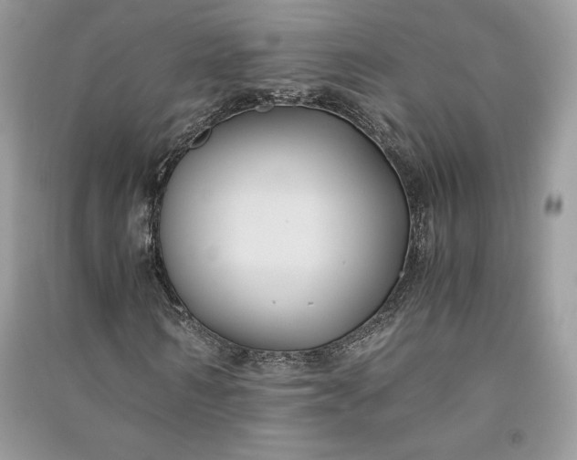 X0000090860962200708101216