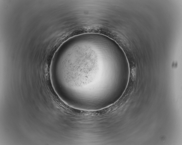 X0000090860963200708101216