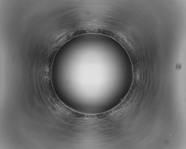 X0000090860964200708101216