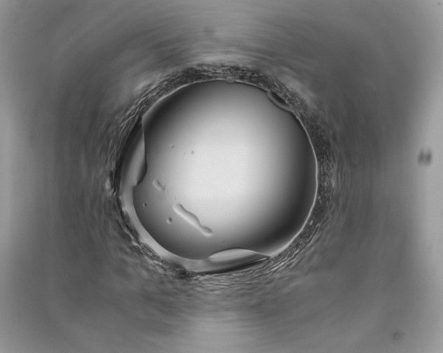 X0000090860965200708101216