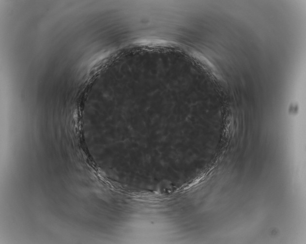 X0000090860966200708101216