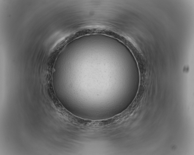 X0000090860967200708101216