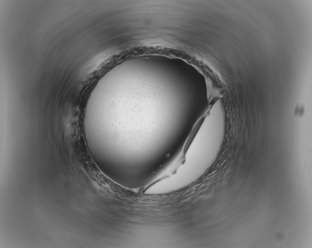 X0000090860968200708101216