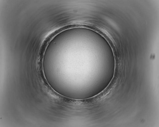 X0000090860971200708101216