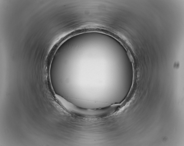 X0000090860973200708101216