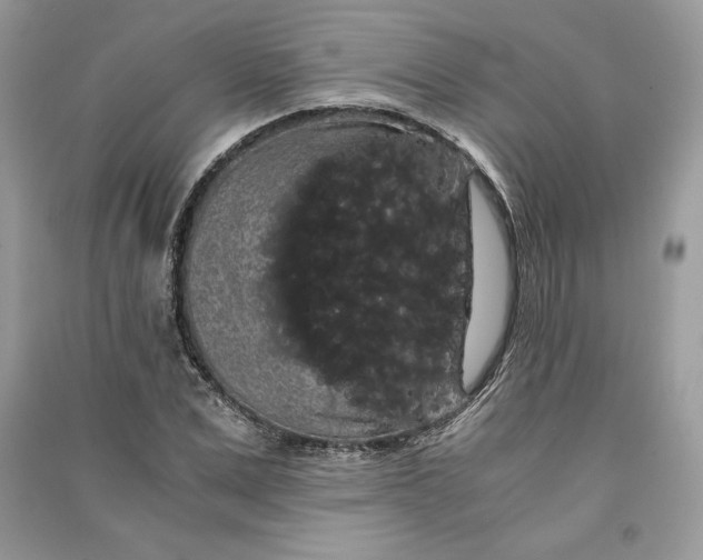 X0000090860975200708101216