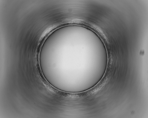 X0000090860978200708101216